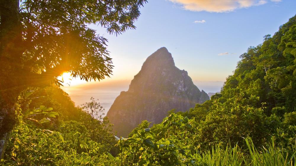 Fond Doux Eco Resort Soufriere Exterior photo