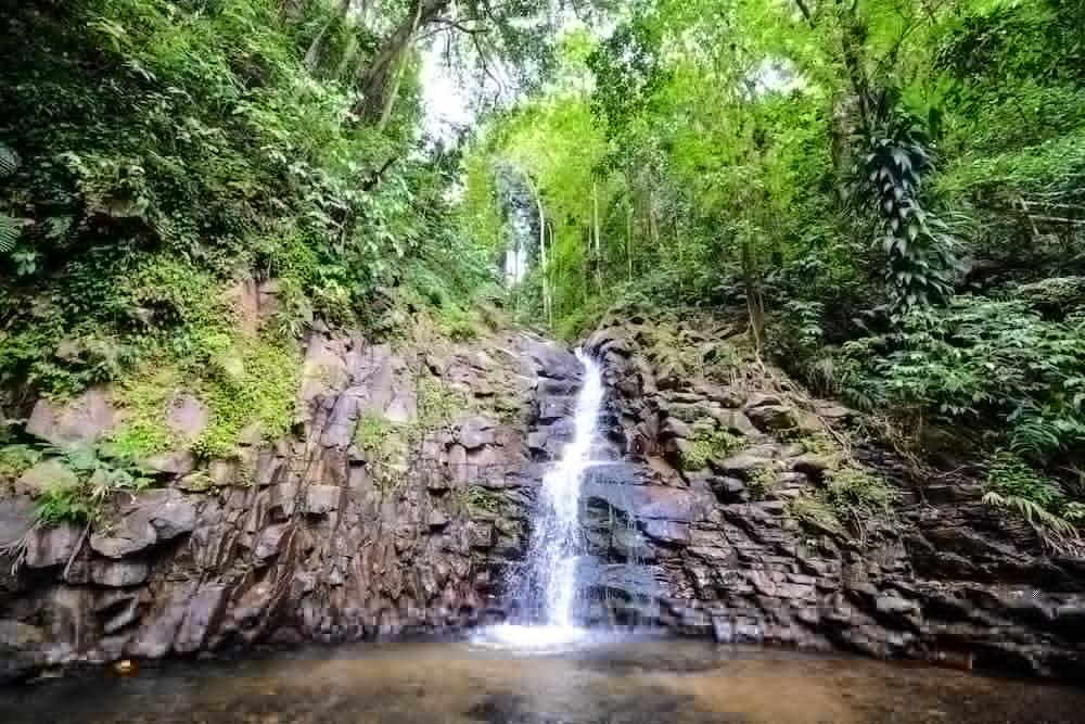 Fond Doux Eco Resort Soufriere Exterior photo
